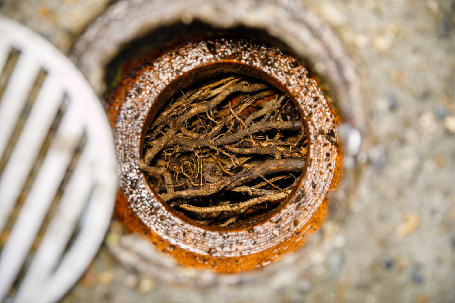 Clogged drain pipe