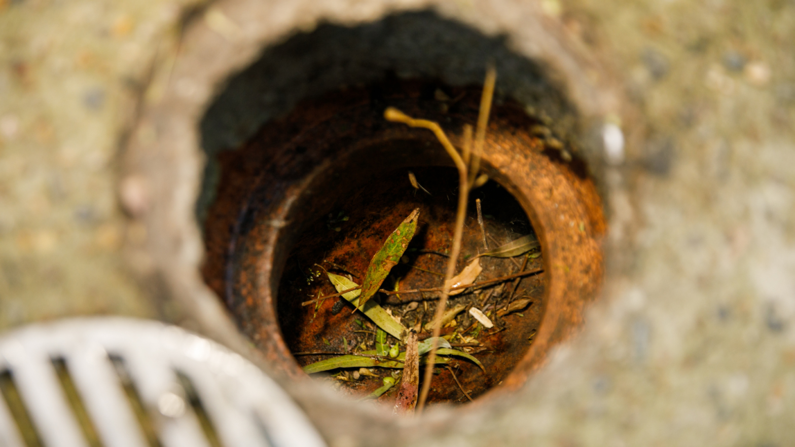 clogged drain