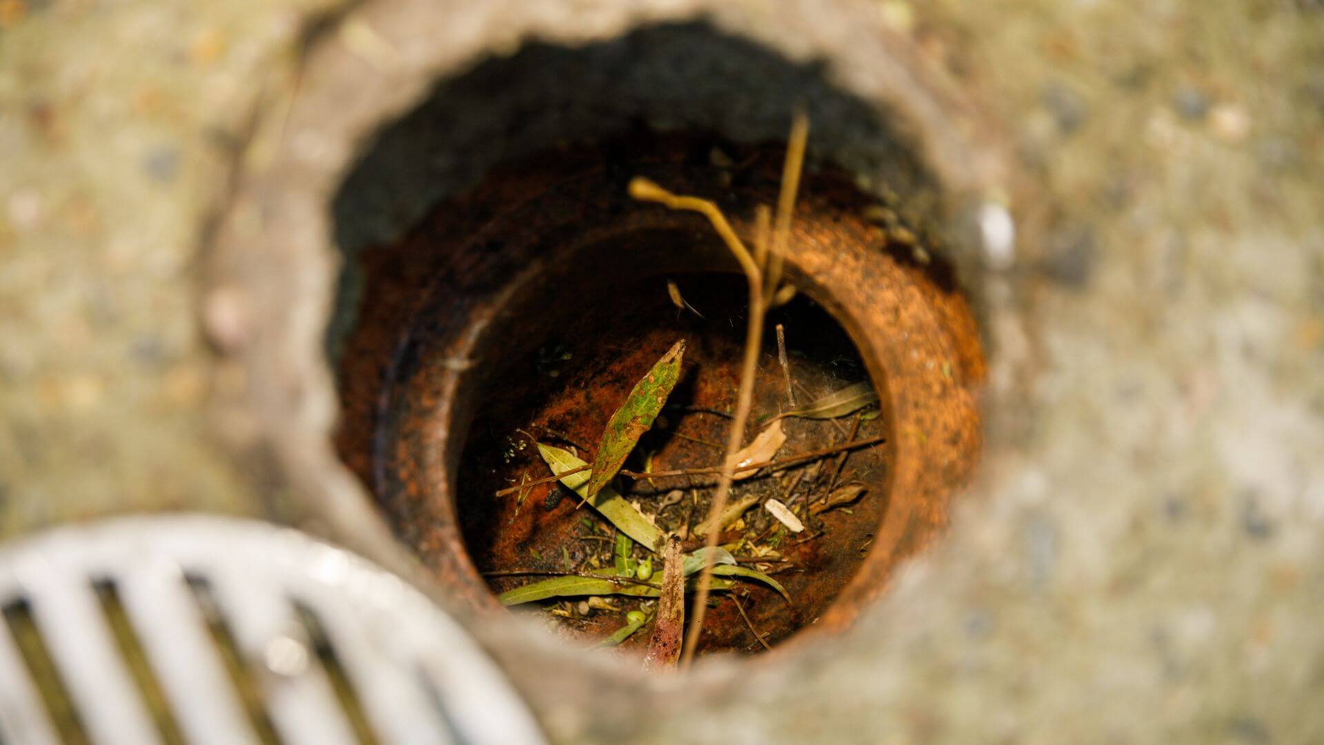 leaves and sticks in drain