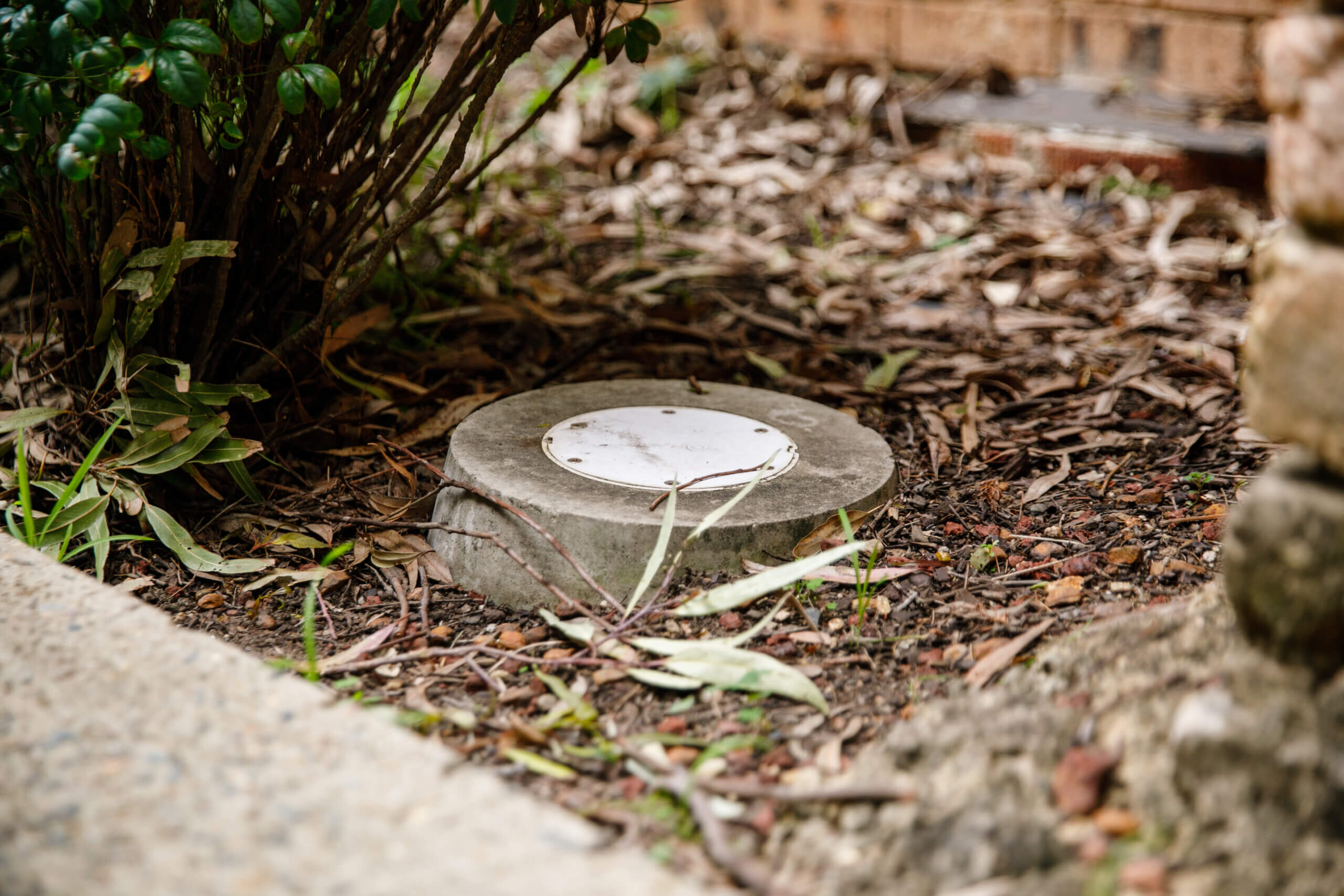 stormwater drain in backyard